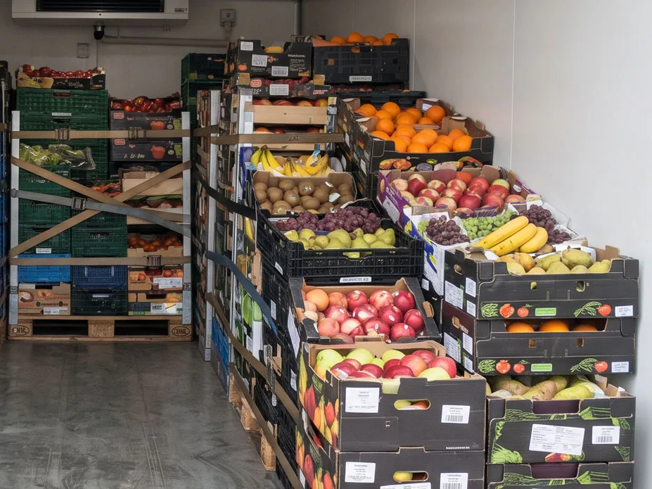Cámara de fruta y verdura con cajas de manzanas, naranjas, peras y plátanos apiladas en palés