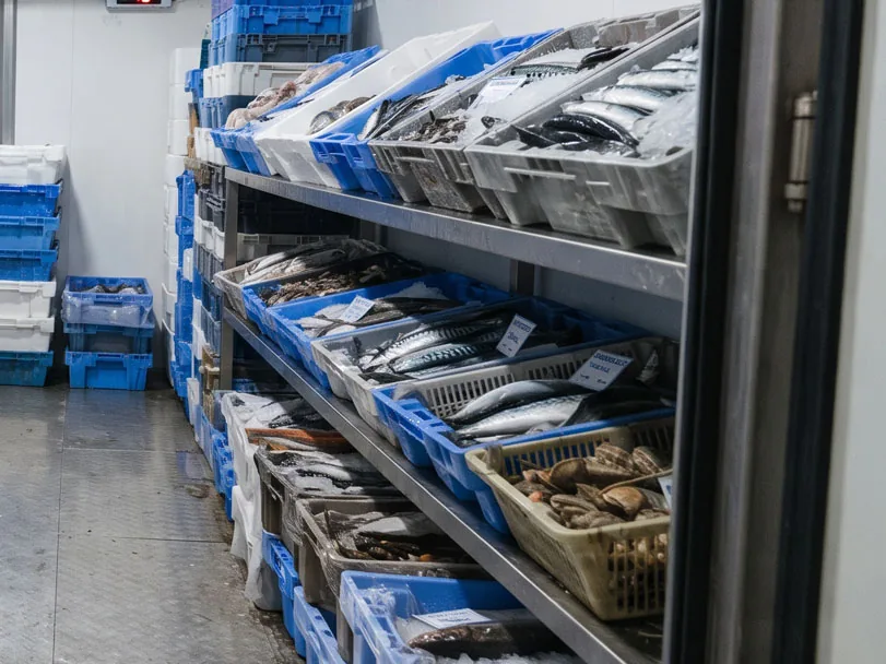 Cámara de fresco de una distribuidora de pescado con cajas de sardinas, caballa y marisco sobre hielo en estanterías